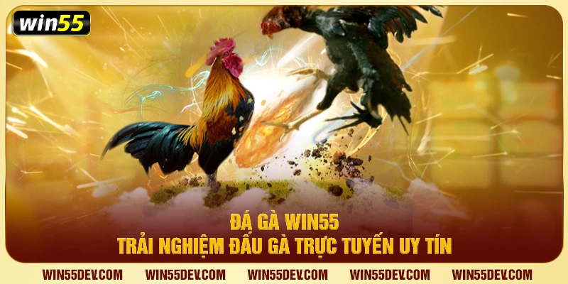 Đá gà win55