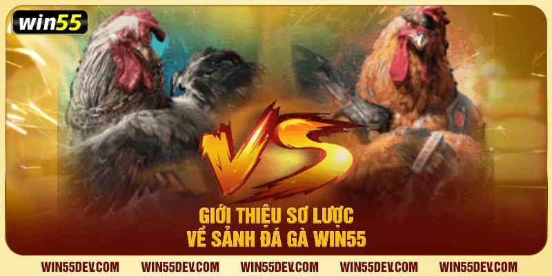 Giới thiệu sơ lược về sảnh đá gà Win55