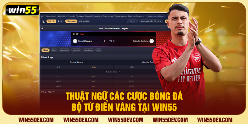 Thuật ngữ phổ biến trong kèo châu Á Handicap